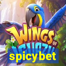 spicybet-4.com