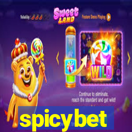 spicybet-4.com