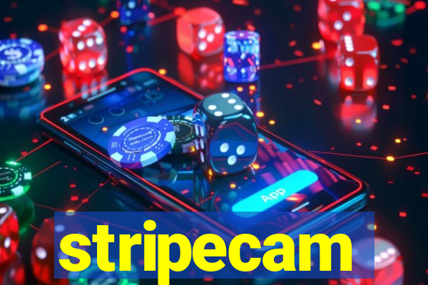 stripecam