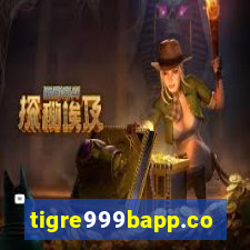 tigre999bapp.com