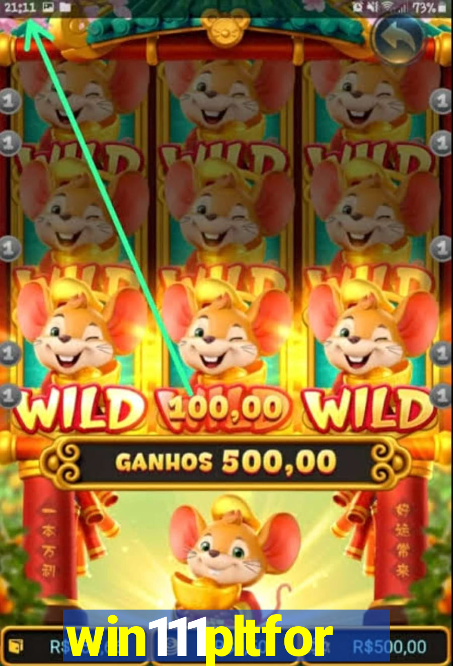 win111pltfor