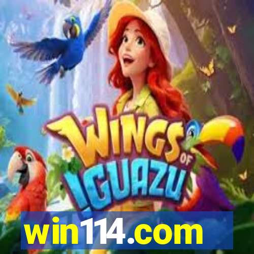 win114.com