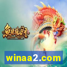 winaa2.com