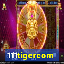 111tigercom