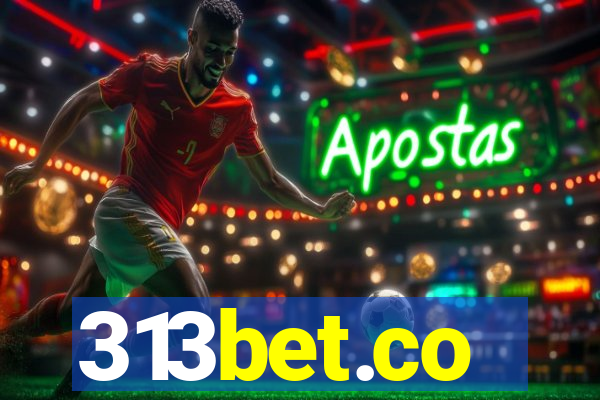 313bet.co