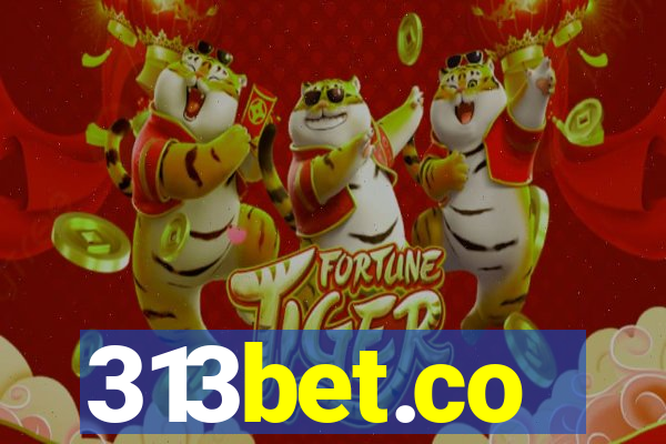 313bet.co