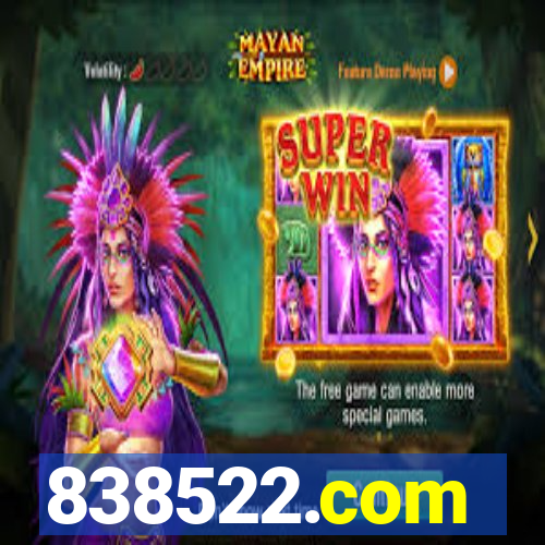 838522.com