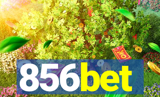 856bet