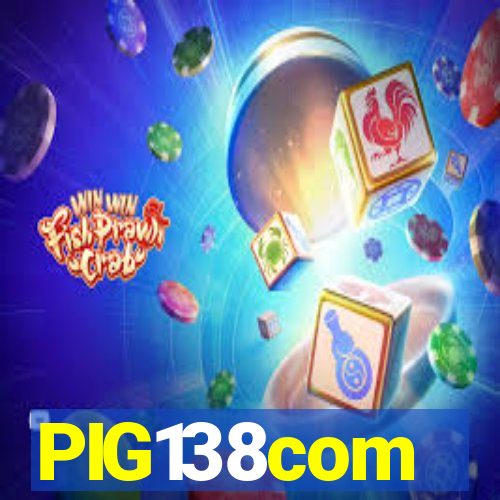 PIG138com