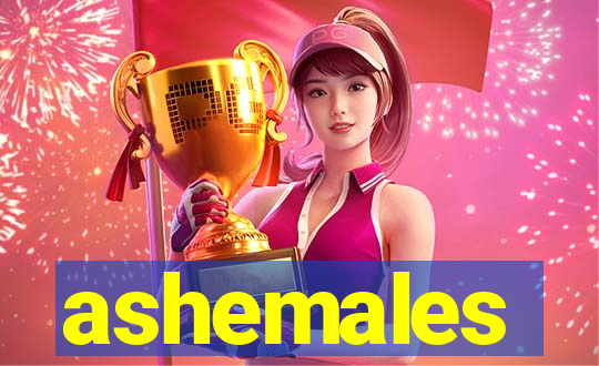 ashemales