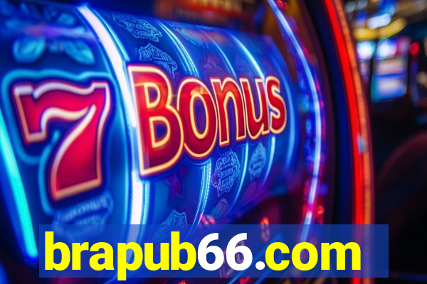 brapub66.com