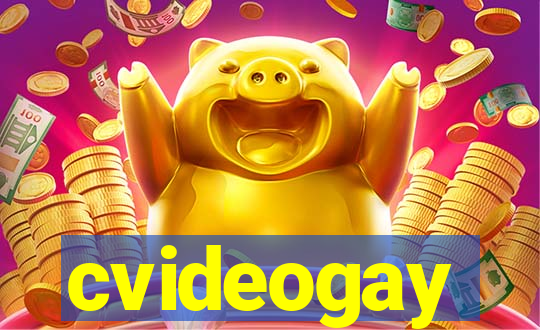 cvideogay
