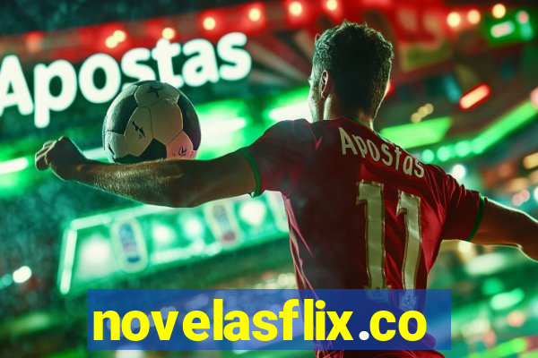 novelasflix.co