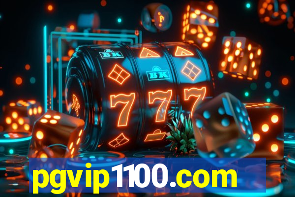 pgvip1100.com