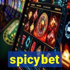 spicybet-3.com