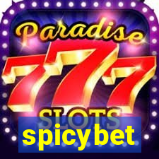 spicybet-3.com