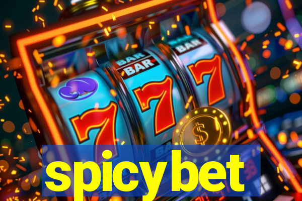 spicybet-4.com
