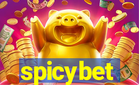 spicybet-4.com