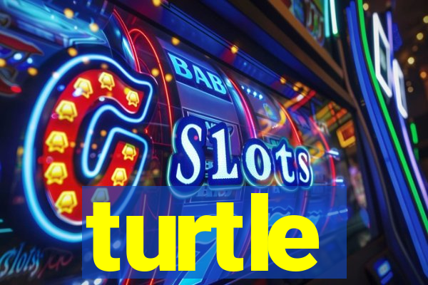 turtle-ty.com