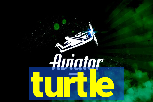 turtle-ty.com