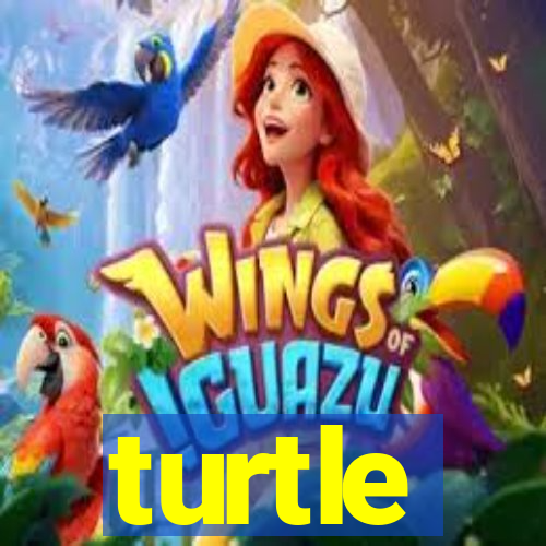 turtle-ty.com