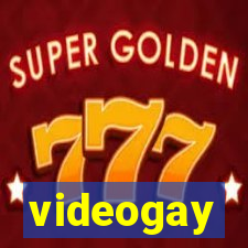 videogay