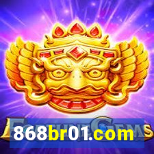 868br01.com