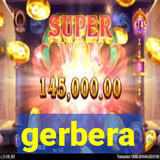 gerbera-dh.com