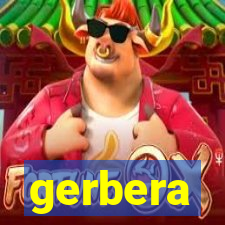 gerbera-dh.com