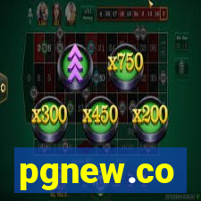 pgnew.co